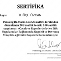 Resmi büyüt: certificate 1