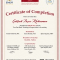 Resmi büyüt: certificate 2