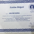 Resmi büyüt: certificate 11
