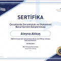 Resmi büyüt: certificate 1