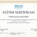 Resmi büyüt: certificate 6