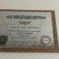 Resmi büyüt: certificate 1