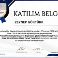 Resmi büyüt: certificate 19