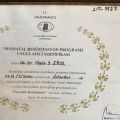 Resmi büyüt: certificate 6