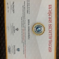 Resmi büyüt: certificate 7