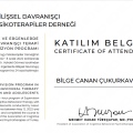 Resmi büyüt: certificate 19