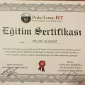 Resmi büyüt: certificate 7