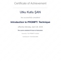Resmi büyüt: certificate 29