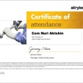 Resmi büyüt: certificate 2