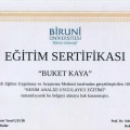 Resmi büyüt: certificate 6