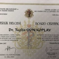 Resmi büyüt: certificate 25