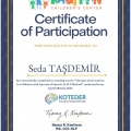 Resmi büyüt: certificate 6