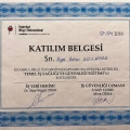 Resmi büyüt: certificate 20