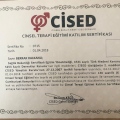 Resmi büyüt: certificate 5