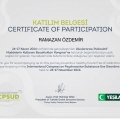 Resmi büyüt: certificate 4