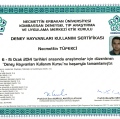 Resmi büyüt: certificate 9
