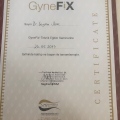 Resmi büyüt: certificate 25