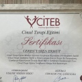 Resmi büyüt: certificate 14