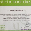 Resmi büyüt: certificate 9