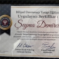 Resmi büyüt: certificate 1