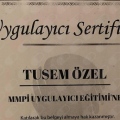 Resmi büyüt: certificate 3