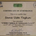 Resmi büyüt: certificate 4