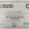 Resmi büyüt: certificate 1