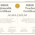 Resmi büyüt: certificate 1