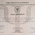 Resmi büyüt: certificate 1