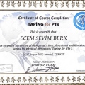 Resmi büyüt: certificate 25