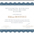 Resmi büyüt: certificate 8