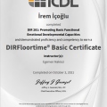 Resmi büyüt: certificate 2