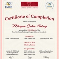 Resmi büyüt: certificate 6