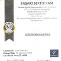 Resmi büyüt: certificate 9