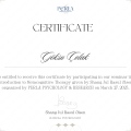 Resmi büyüt: certificate 1