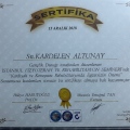 Resmi büyüt: certificate 13