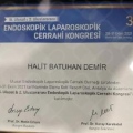 Resmi büyüt: certificate 7