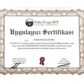 Resmi büyüt: certificate 10