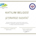 Resmi büyüt: certificate 5