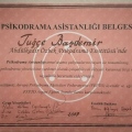 Resmi büyüt: certificate 1