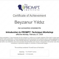 Resmi büyüt: certificate 2
