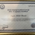 Resmi büyüt: certificate 3