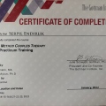 Resmi büyüt: certificate 3