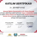 Resmi büyüt: certificate 10