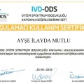 Resmi büyüt: certificate 6
