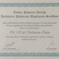 Resmi büyüt: certificate 2