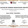 Resmi büyüt: certificate 16
