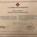 Resmi büyüt: certificate 1