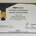 Resmi büyüt: certificate 7