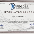 Resmi büyüt: certificate 6